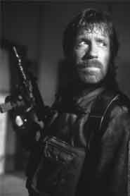 Rocco Haynes