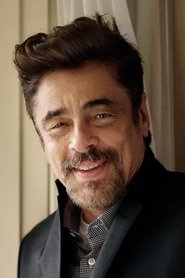 Benicio del Toro as Javier Rodriguez in Traffic