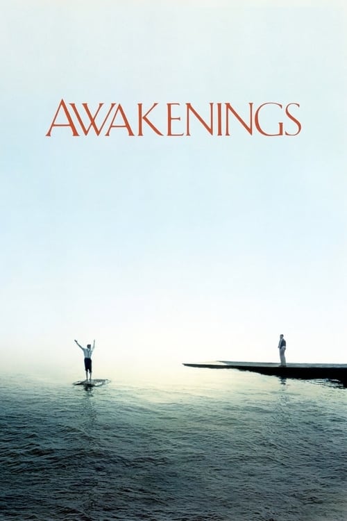 Awakenings (1990) movie poster