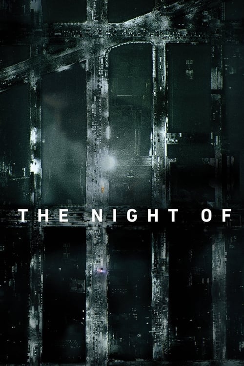 The Night Of (2016) TV show poster